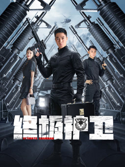 电影：终极护卫