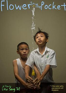 电影：口袋里的花