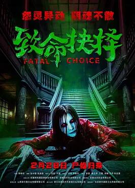 电影：致命抉择2025