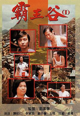 电影：霸王谷粤语