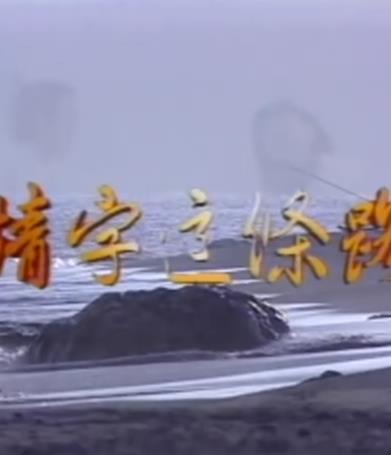 电影:情字这条路