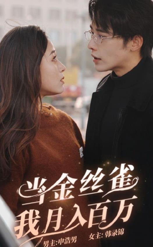 电影：当金丝雀月我入百万
