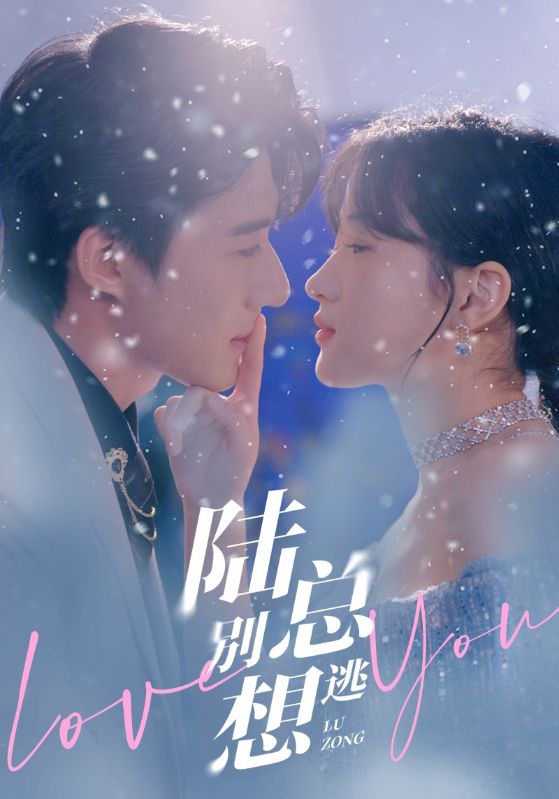 电影：陆总别想逃