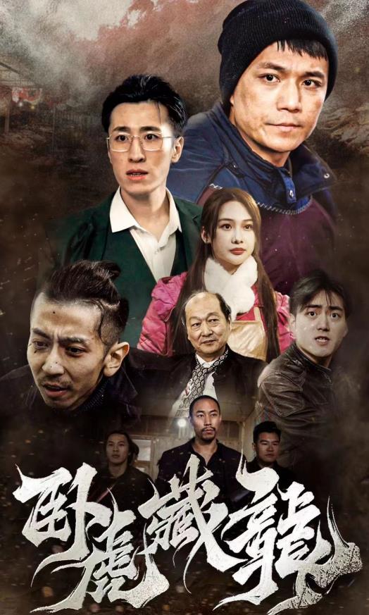 电影：卧虎藏龙2024