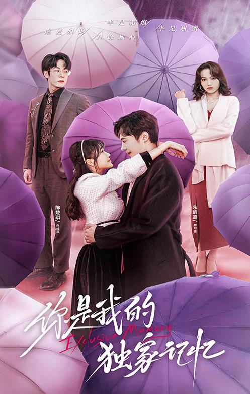 电影:你是我的独家记忆