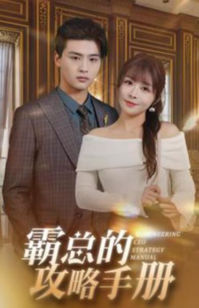 电影：霸总的攻略手册