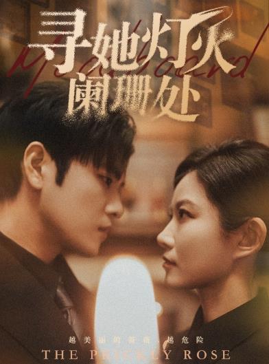 电影:寻她灯火阑珊处