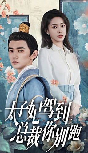 电影：太子妃驾到，总裁你别跑