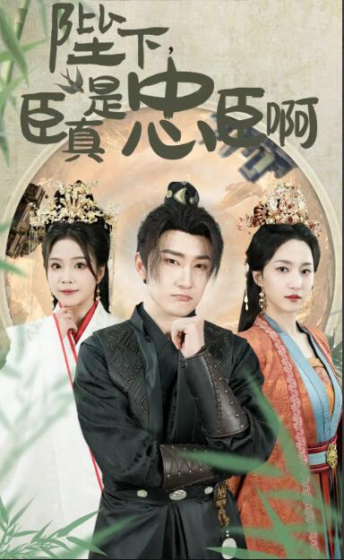 电影:陛下,臣真是忠臣啊