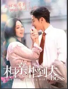 电影:相亲相到大boss