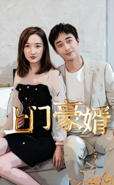 电影：新：上门豪婿