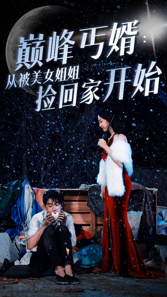 电影：巅峰丐婿：从被美女姐姐捡回家开始