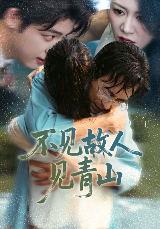 电影：不见故人见青山