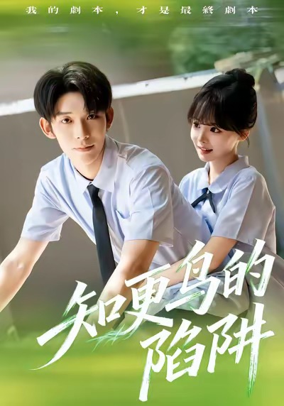 电影：知更鸟的陷阱