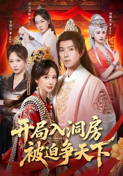 电影：开局入洞房，被迫争天下