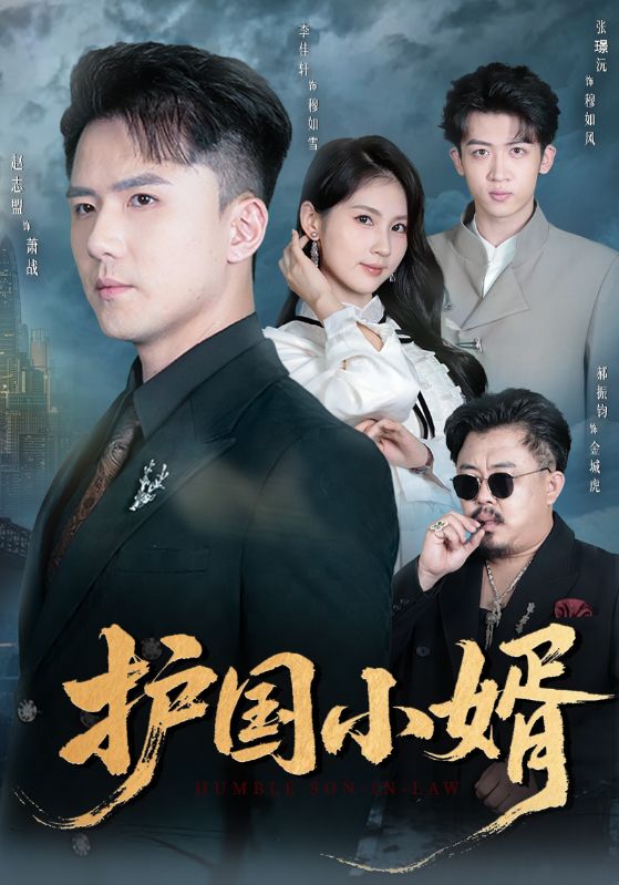 电影：护国小婿