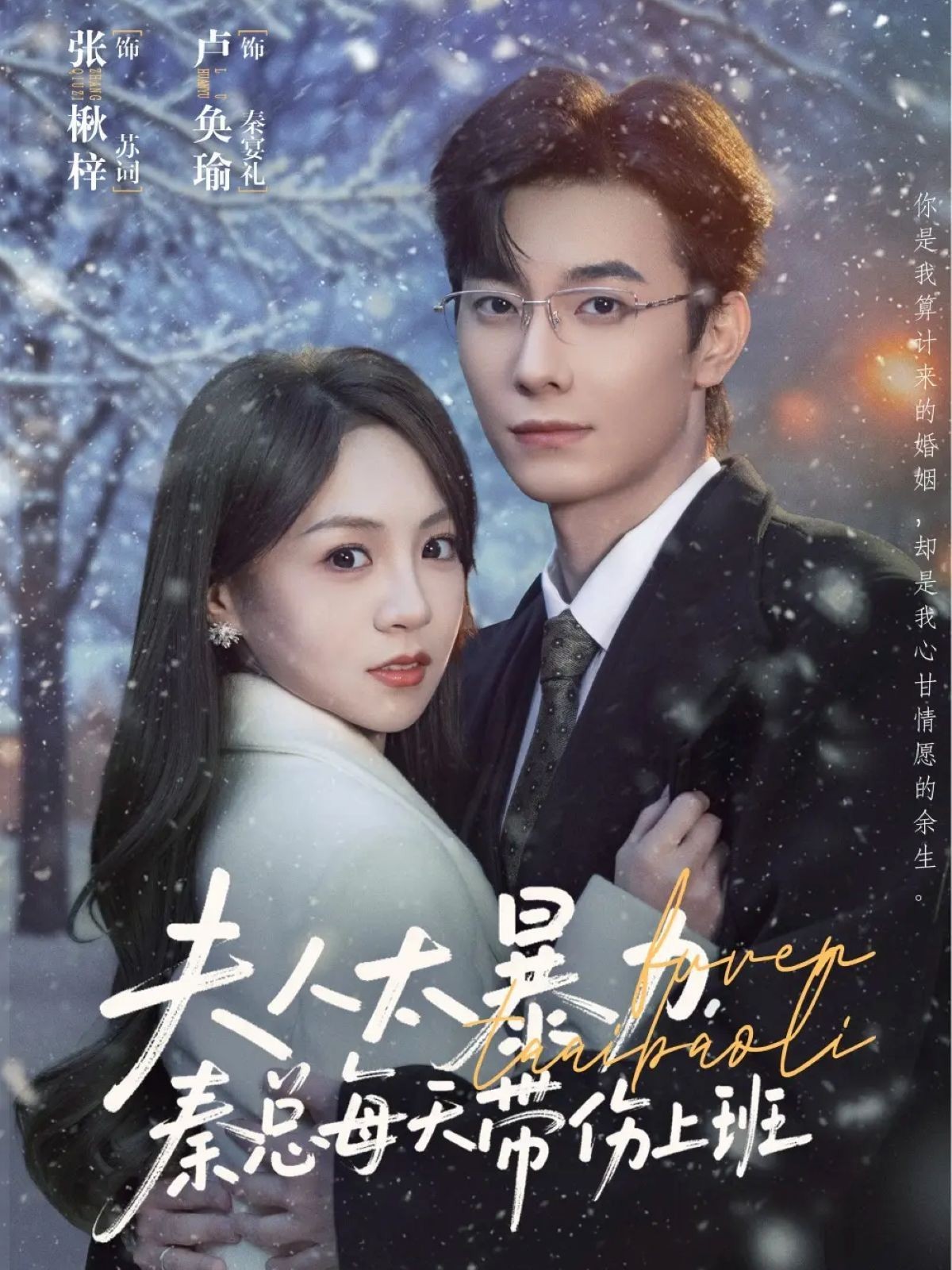 电影：夫人太暴力，秦总每天带伤上班