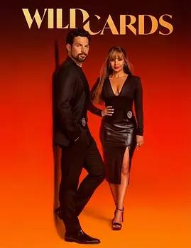 电影:百变王牌第三季