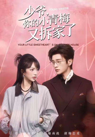 电影：少爷，你的小青梅又拆家了