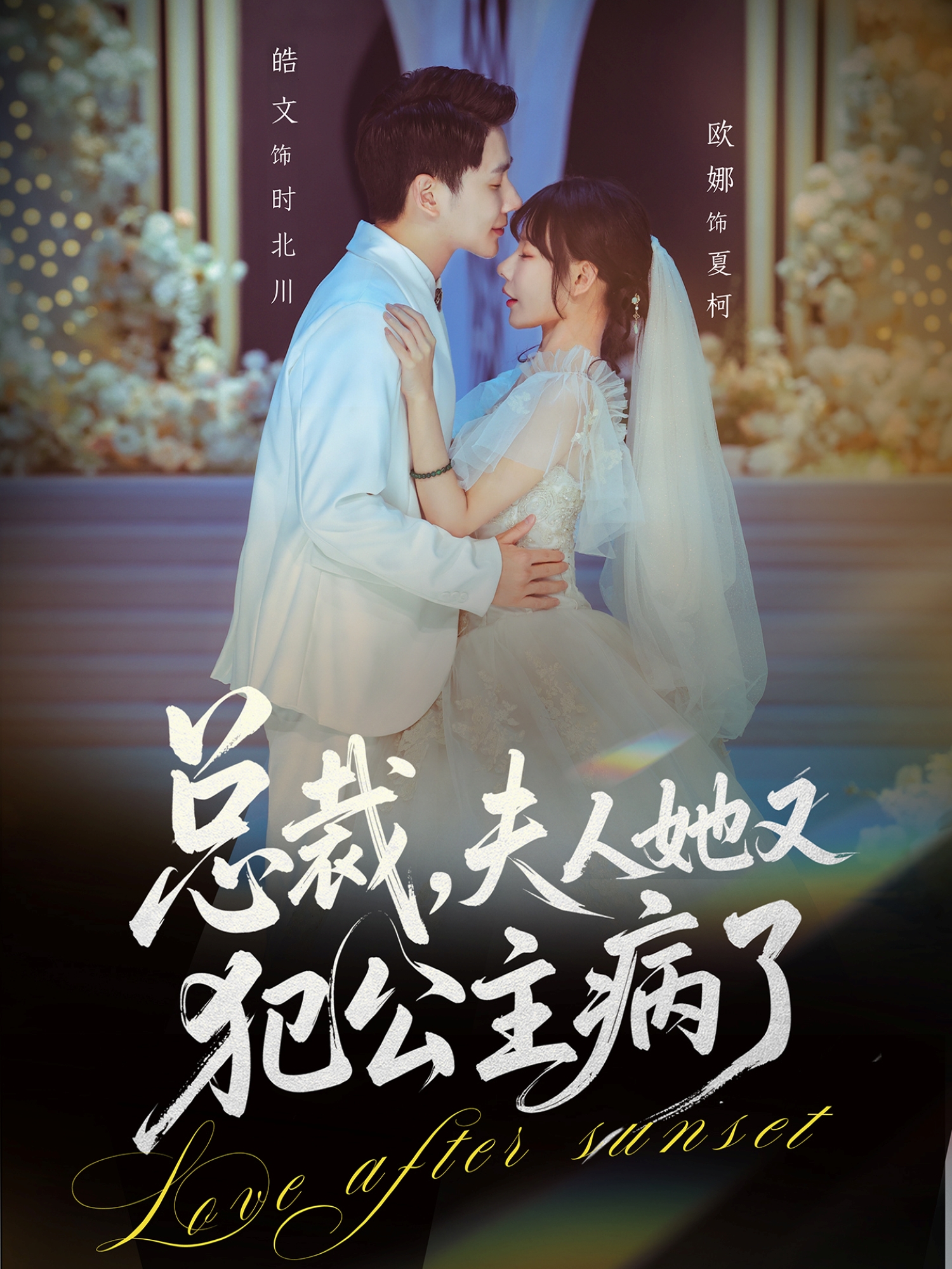 电影：总裁，夫人她又犯公主病了