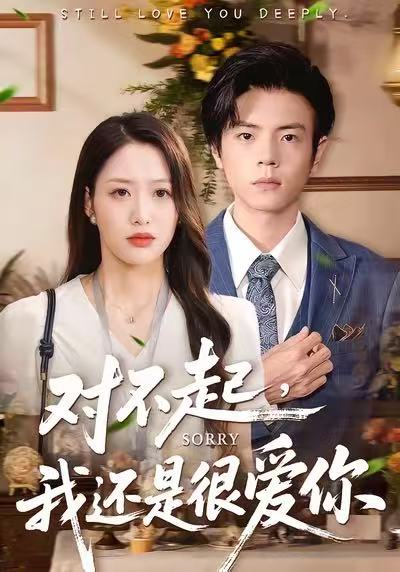 电影：对不起，我还是很爱你