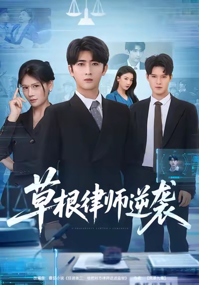 电影：草根律师逆袭