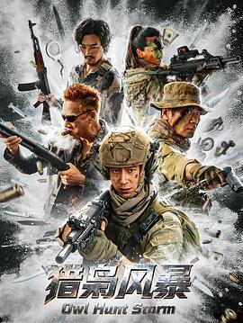 电影：猎枭风暴