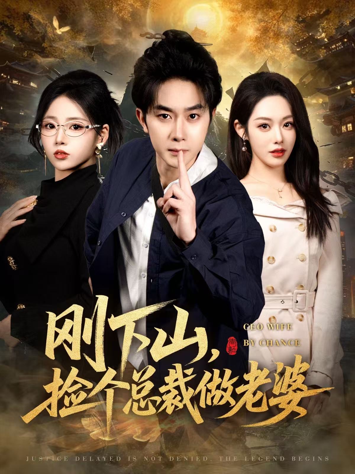 电影：刚下山捡个总裁做老婆