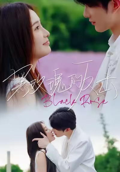 电影：黑玫瑰的反击