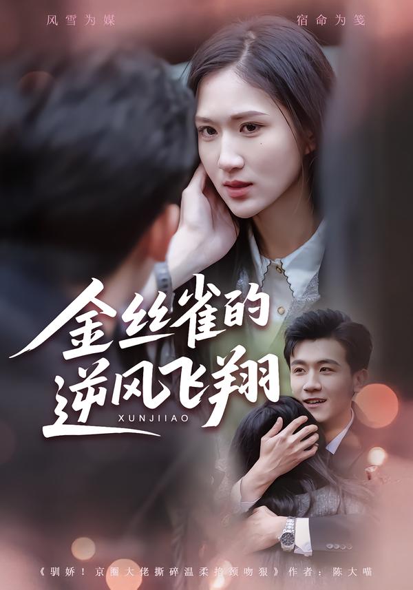 电影:金丝雀的逆风飞翔