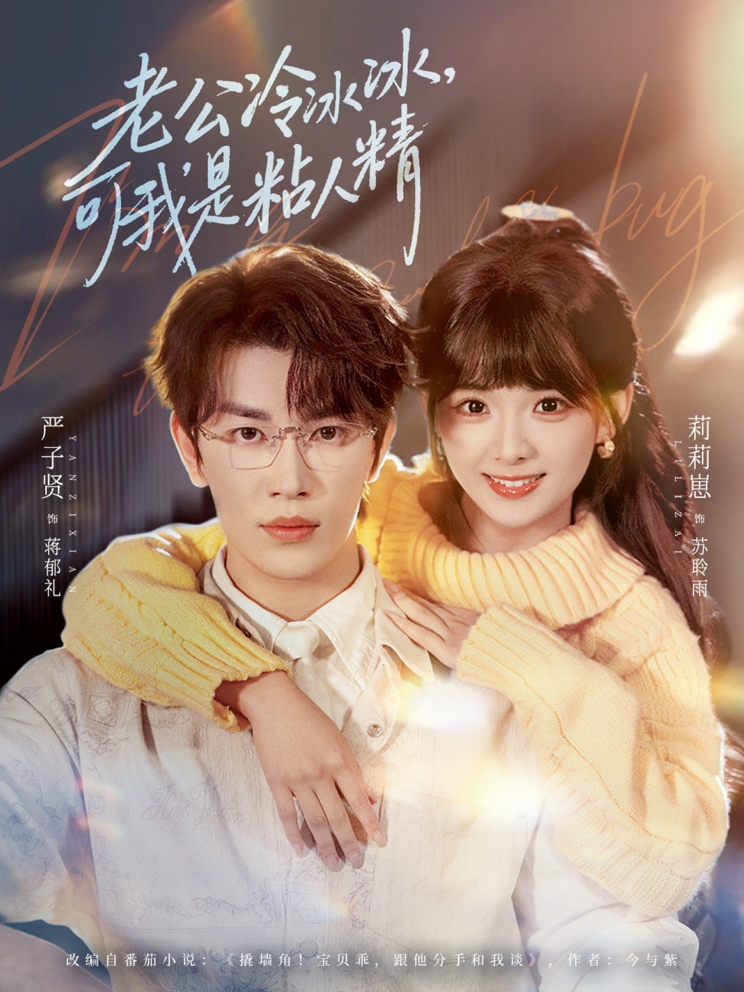 电影：老公冷冰冰，可我是粘人精