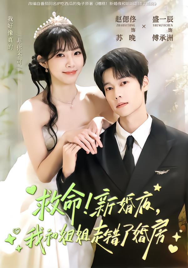 电影：救命！新婚夜，我和姐姐走错了婚房
