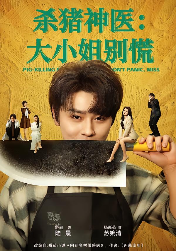 电影：杀猪神医，大小姐别慌