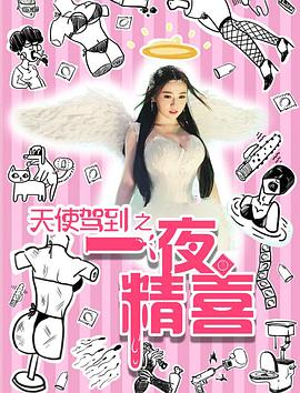 电影：天使驾到之一夜精喜
