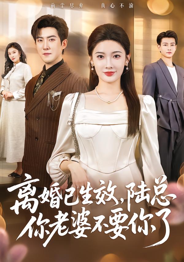 电影:离婚已生效,陆总你老婆不要你了