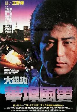 电影：大纽约华埠风云