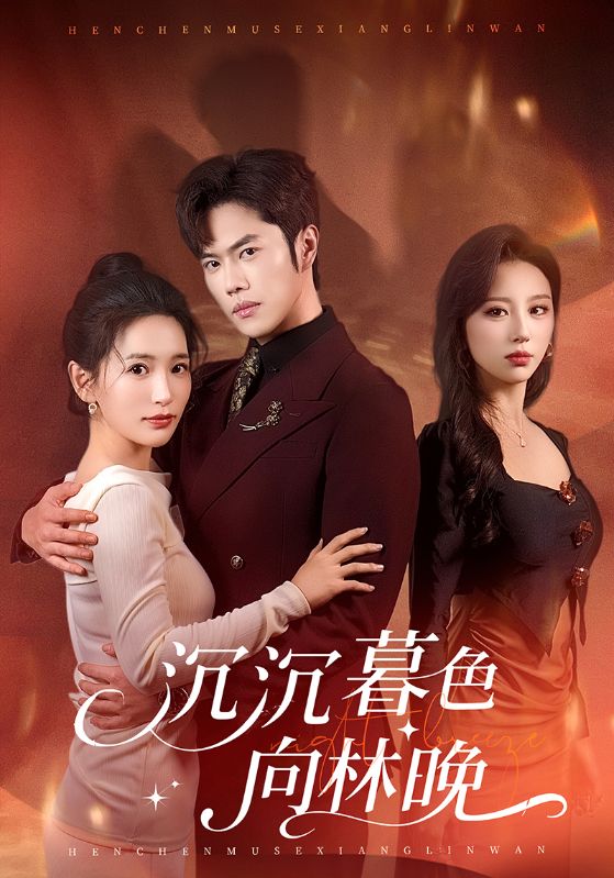电影：沉沉暮色向林晚