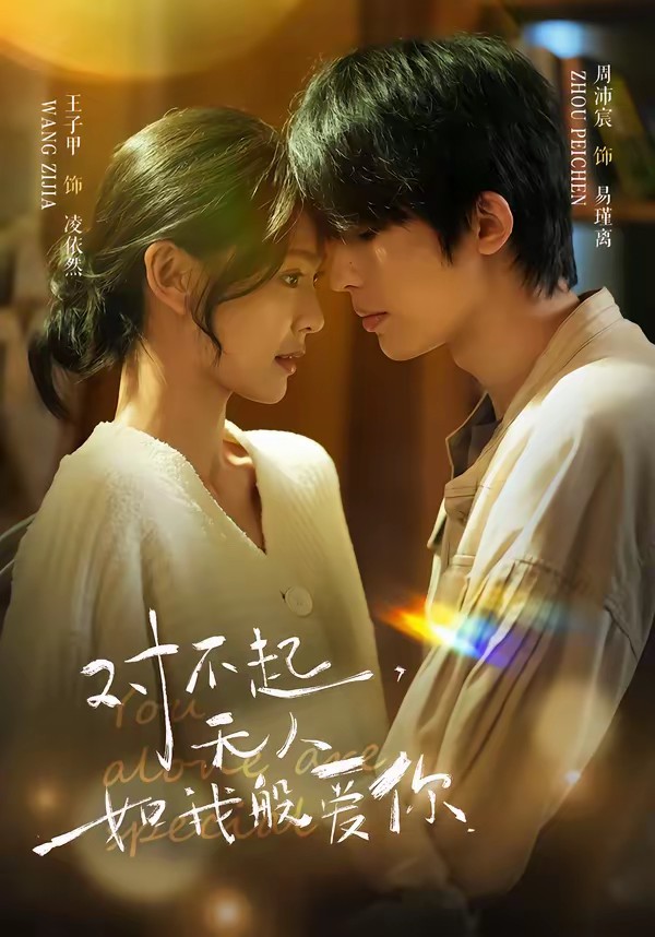 电影：对不起，无人如我般爱你