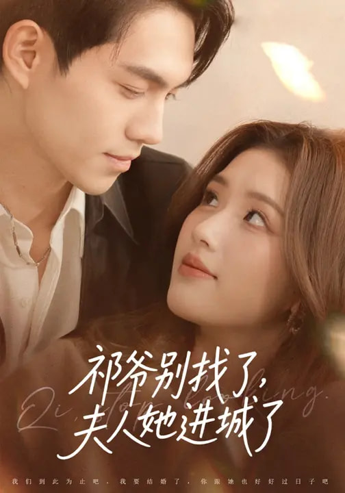 电影：祁爷别找了，夫人她进城了
