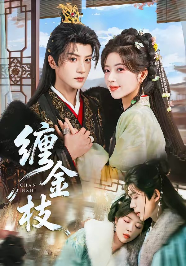 电影：缠金枝