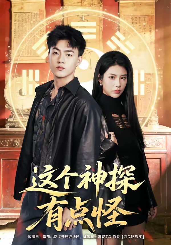 电影:这个神探有点怪