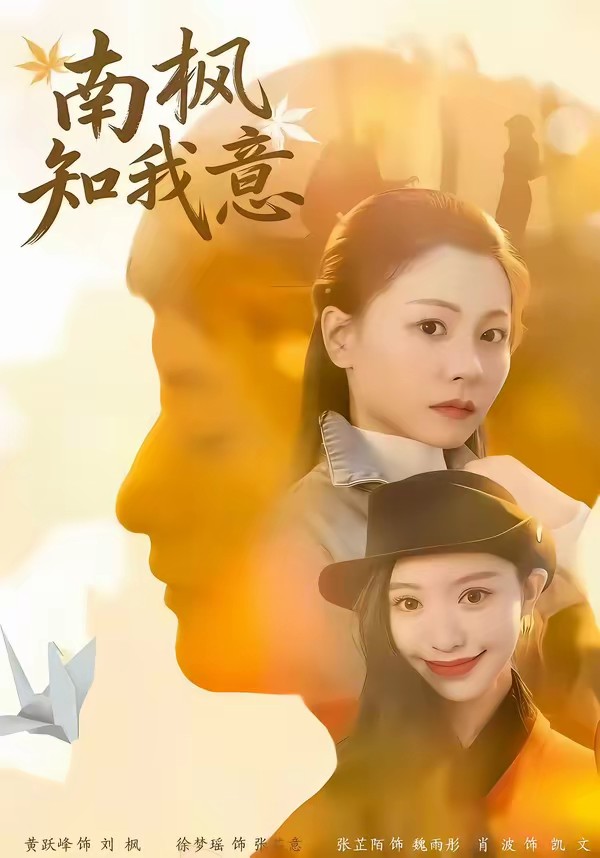 电影：南枫知我意