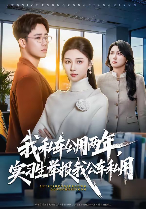 电影：我私车公用两年，实习生举报我公车私用