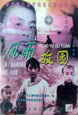 电影：风雨故园