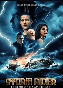 电影：风暴骑士：锤头鲨的传说