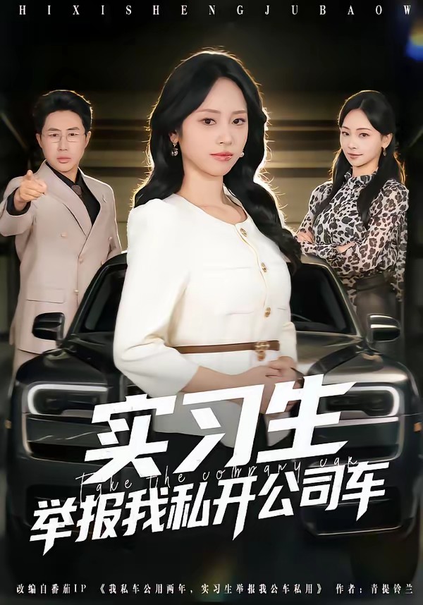 电影：实习生举报我私开公司车