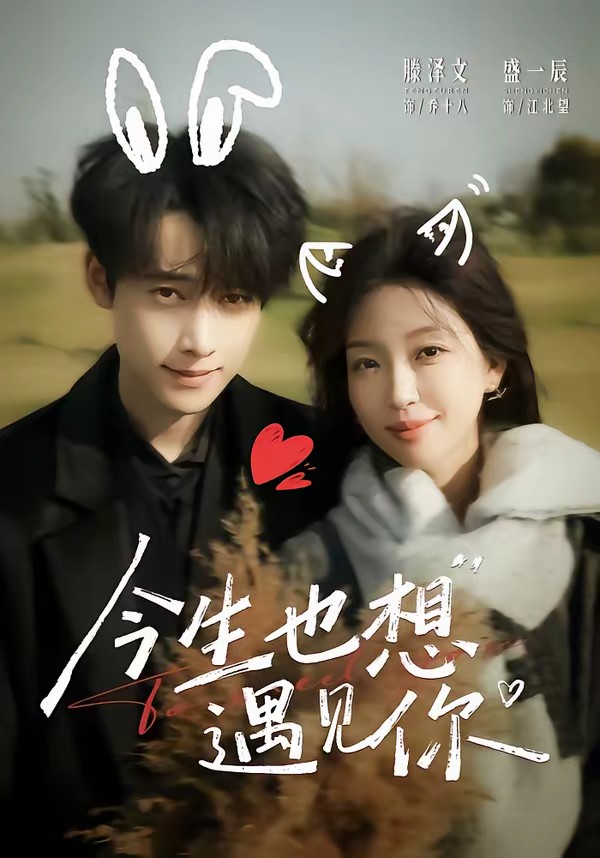 电影：今生也想遇见你