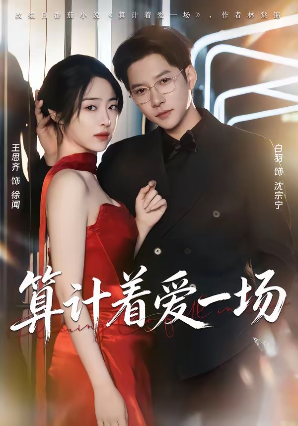 电影：算计着爱一场