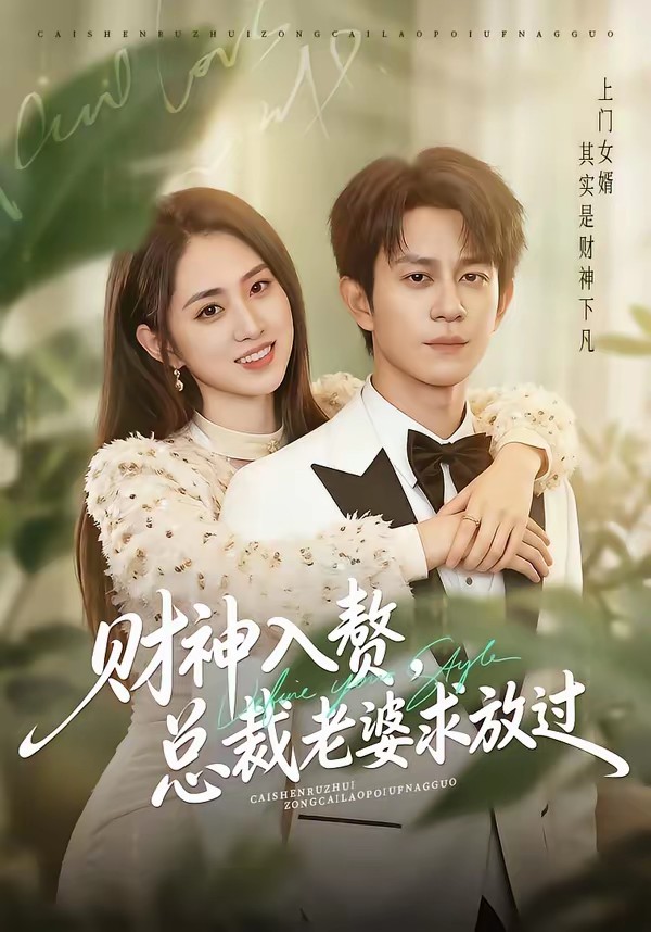 电影：财神入赘，总裁老婆求放过