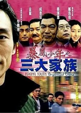 电影：暴风少年之三大家族